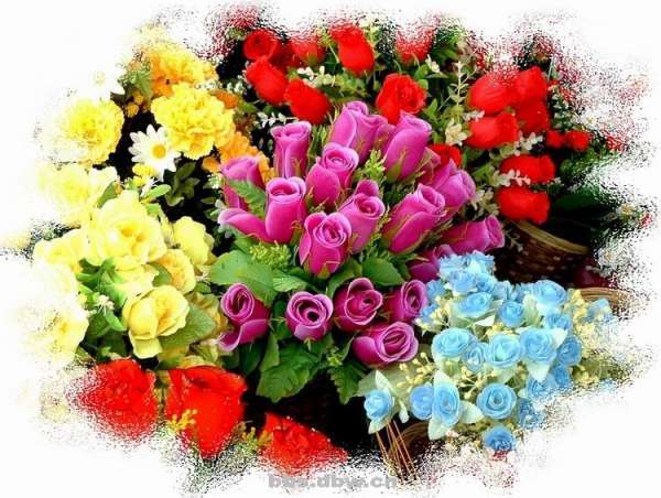 鲜花5.jpg