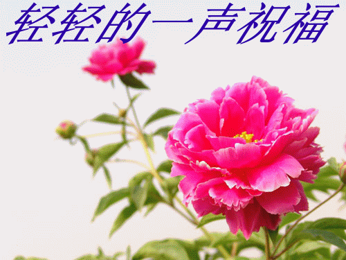 220825wuqctfcp1f1uuyrf.gif
