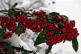 2016101921222269700.gif