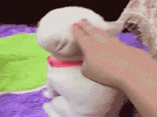 10-54-17-image.gif