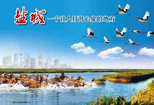 t中国盐城.jpg