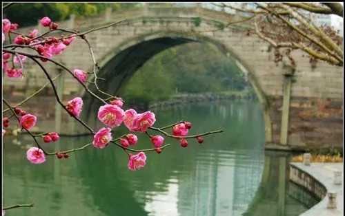 u=1590946209,512518291&amp;fm=253&amp;fmt=auto&amp;app=138&amp;f=JPEG.webp_副本.jpg