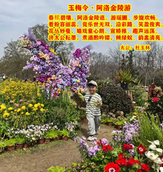 1444玉梅令阿洛金陵游.jpg